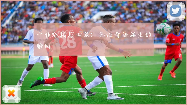 十佳球精彩回放：见证奇迹诞生的瞬间